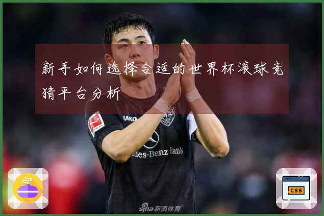 新手如何选择合适的世界杯滚球竞猜平台分析