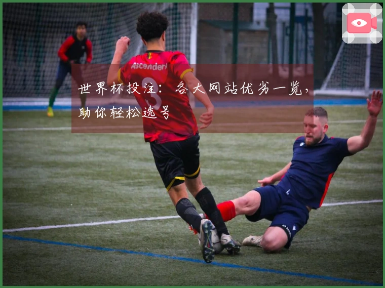 世界杯投注：各大网站优劣一览，助你轻松选号