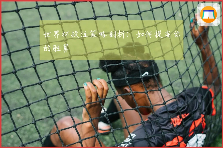 世界杯投注策略剖析：如何提高你的胜算