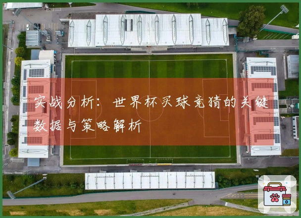 实战分析：世界杯买球竞猜的关键数据与策略解析