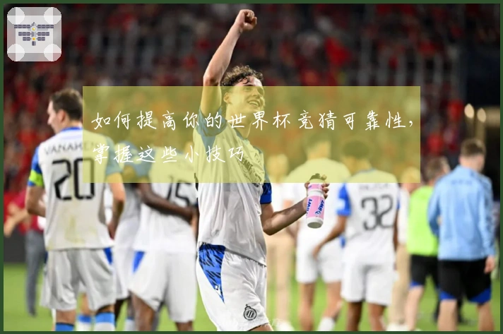 如何提高你的世界杯竞猜可靠性，掌握这些小技巧