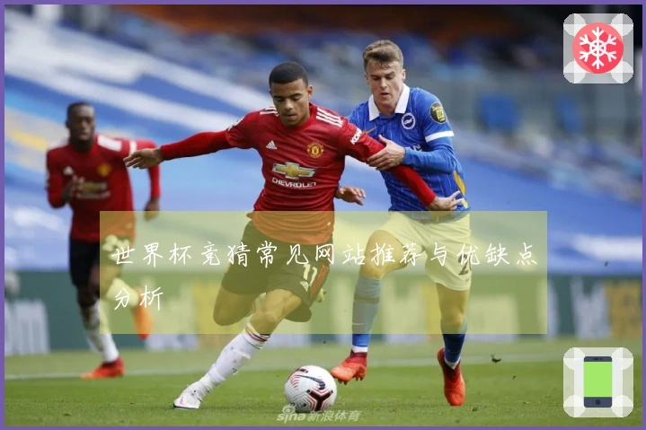 世界杯竞猜常见网站推荐与优缺点分析