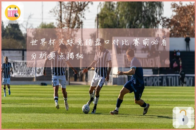 世界杯买球竞猜盘口对比 赛前必看分析要点揭秘