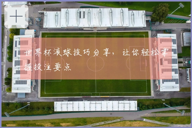 世界杯滚球技巧分享，让你轻松掌握投注要点