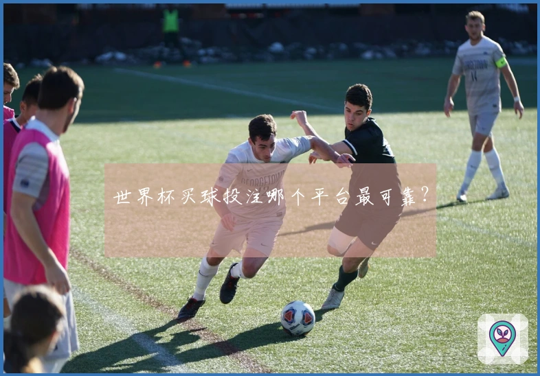 世界杯买球投注哪个平台最可靠？