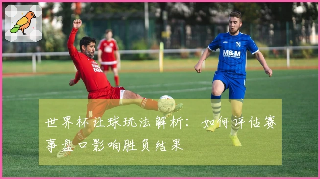 世界杯让球玩法解析：如何评估赛事盘口影响胜负结果