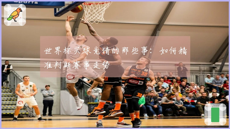世界杯买球竞猜的那些事：如何精准判断赛事走势