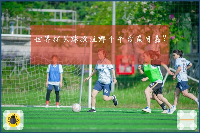 世界杯买球投注哪个平台最可靠？