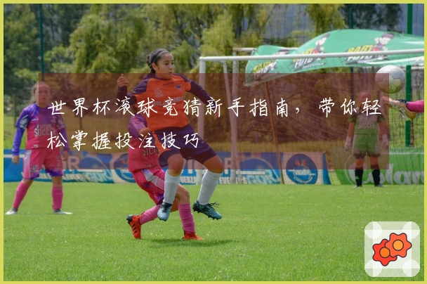 世界杯滚球竞猜新手指南，带你轻松掌握投注技巧