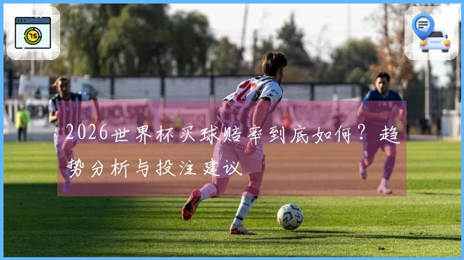 2026世界杯买球赔率到底如何？趋势分析与投注建议